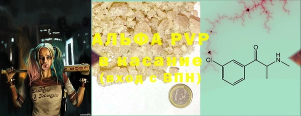 PSILOCYBIN Алзамай
