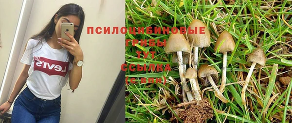 apvp Алексин