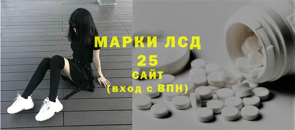 apvp Алексин