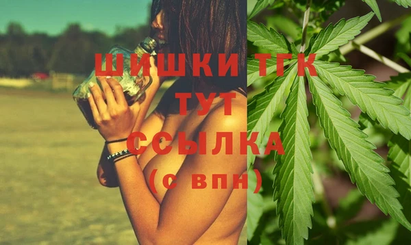 PSILOCYBIN Алзамай