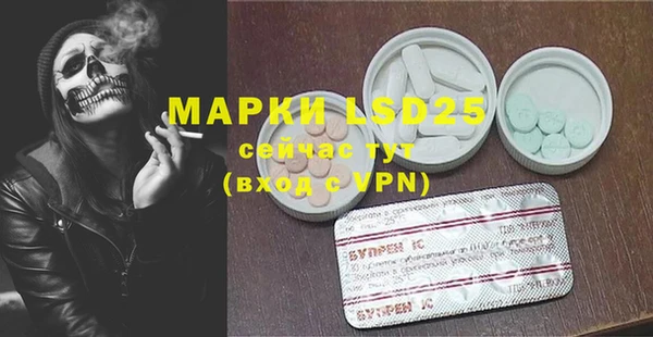 PSILOCYBIN Алзамай