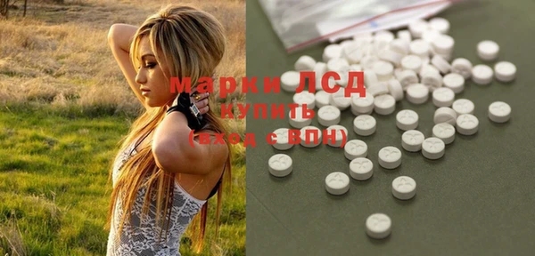 PSILOCYBIN Алзамай